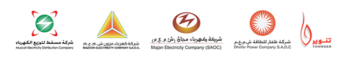 Electricity Distribution Companies